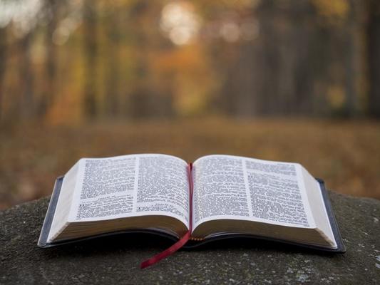 Bible Image Bible Image